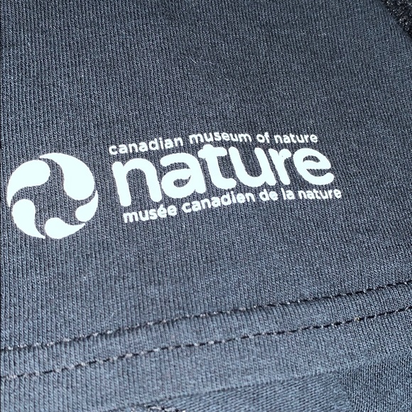 Dinosaur Shirt🦖 - Picture 5 of 7